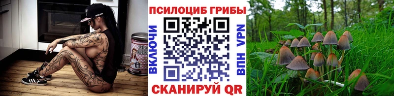 Галлюциногенные грибы MAGIC MUSHROOMS  гидра зеркало  Тихорецк 