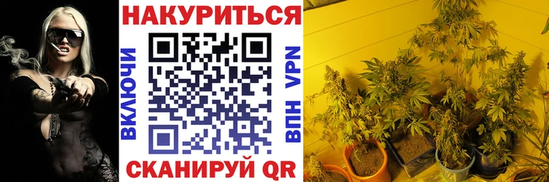Бошки Шишки VHQ Тихорецк